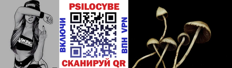Псилоцибиновые грибы Cubensis  Азнакаево 