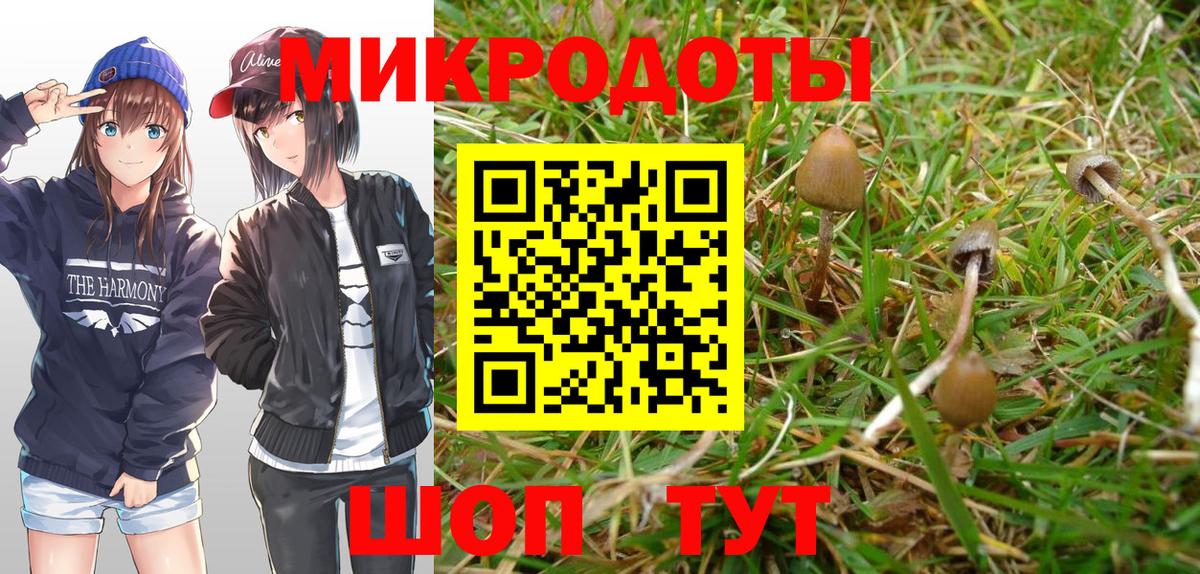 Галлюциногенные грибы Cubensis Азнакаево