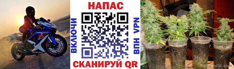где продают наркотики  Азнакаево  Каннабис индика 